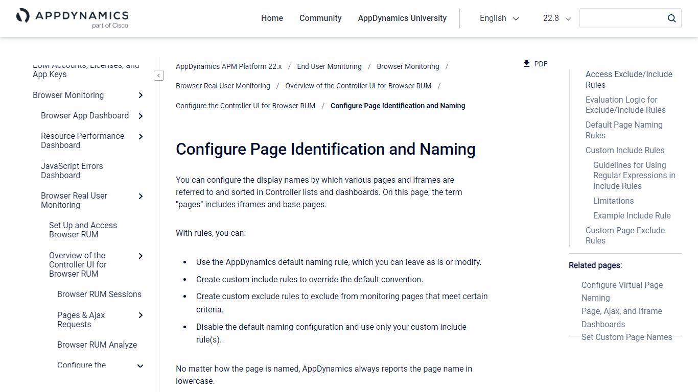 Configure Page Identification and Naming